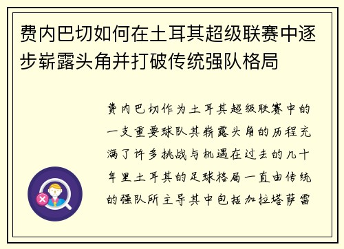 费内巴切如何在土耳其超级联赛中逐步崭露头角并打破传统强队格局