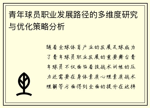 青年球员职业发展路径的多维度研究与优化策略分析 青年球员职业发展路径的多维度研究与优化策略分析