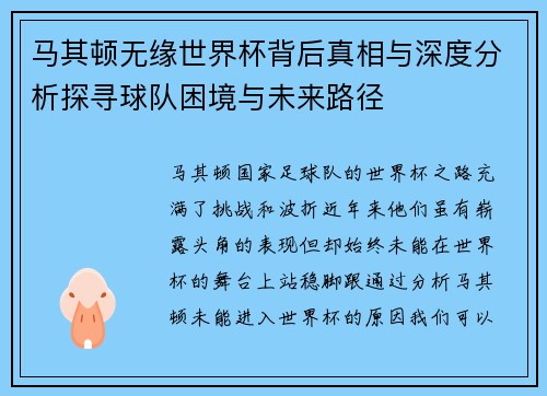 马其顿无缘世界杯背后真相与深度分析探寻球队困境与未来路径