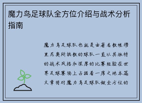 魔力鸟足球队全方位介绍与战术分析指南